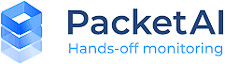 Logo Packet AI